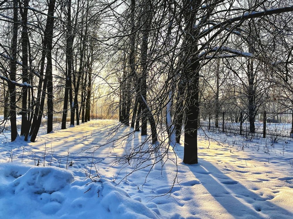 Photograph by Галина Аскольдовна Луковникова
