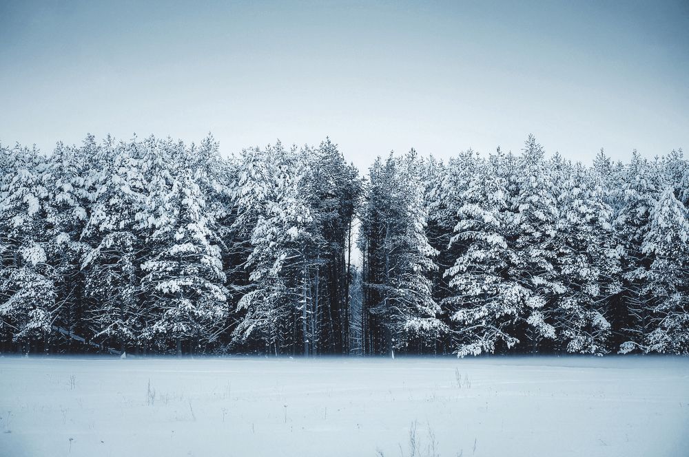 Photograph by Denis Romanov