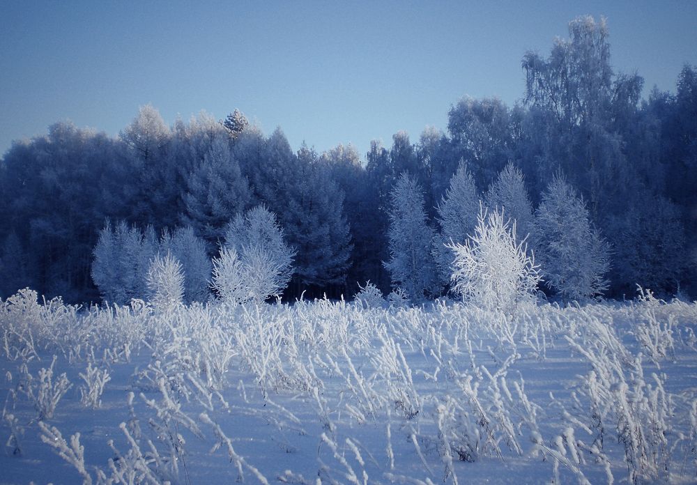 Photograph by Denis Romanov