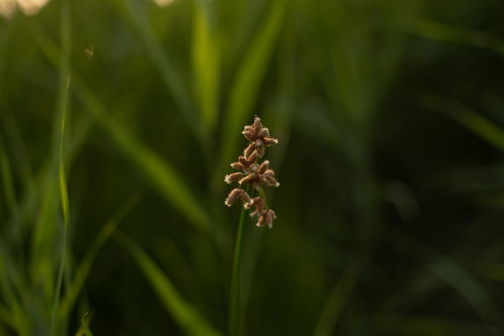 Фотопроект «Даяна - современная девушка»