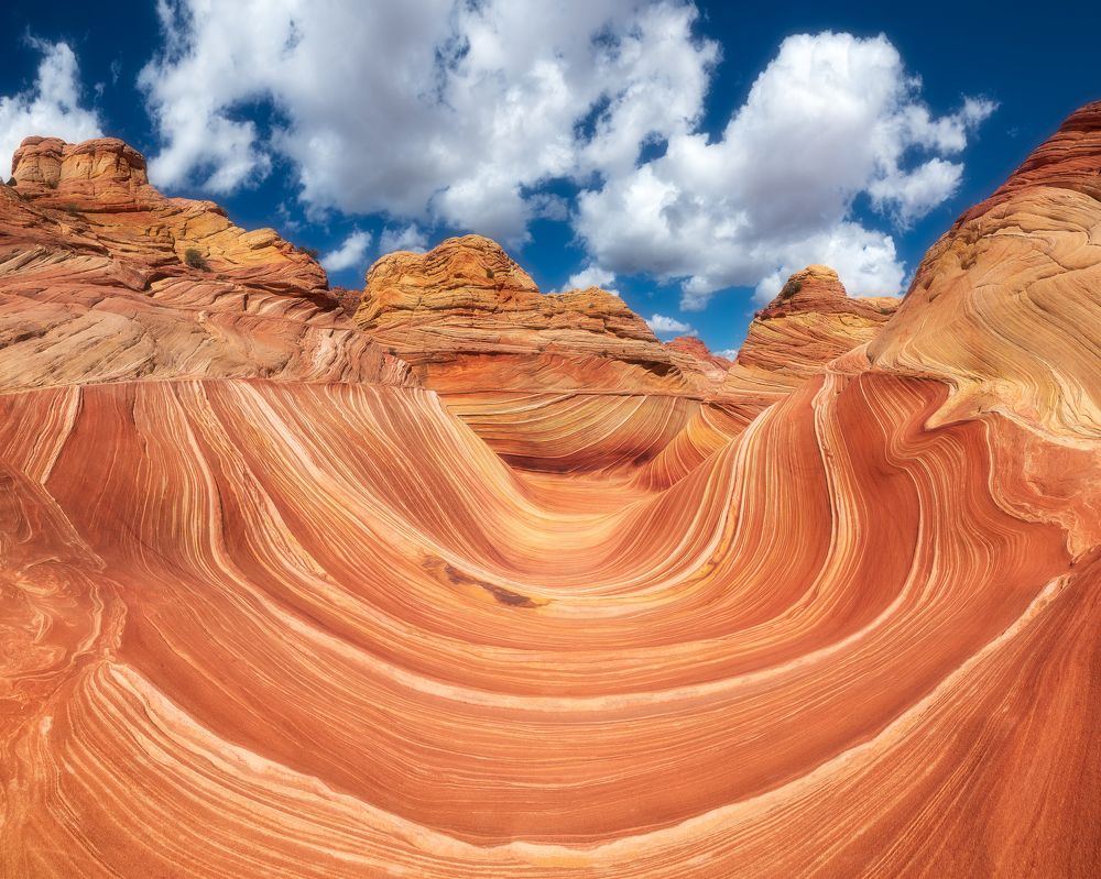 Photograph by Marcin Zajac