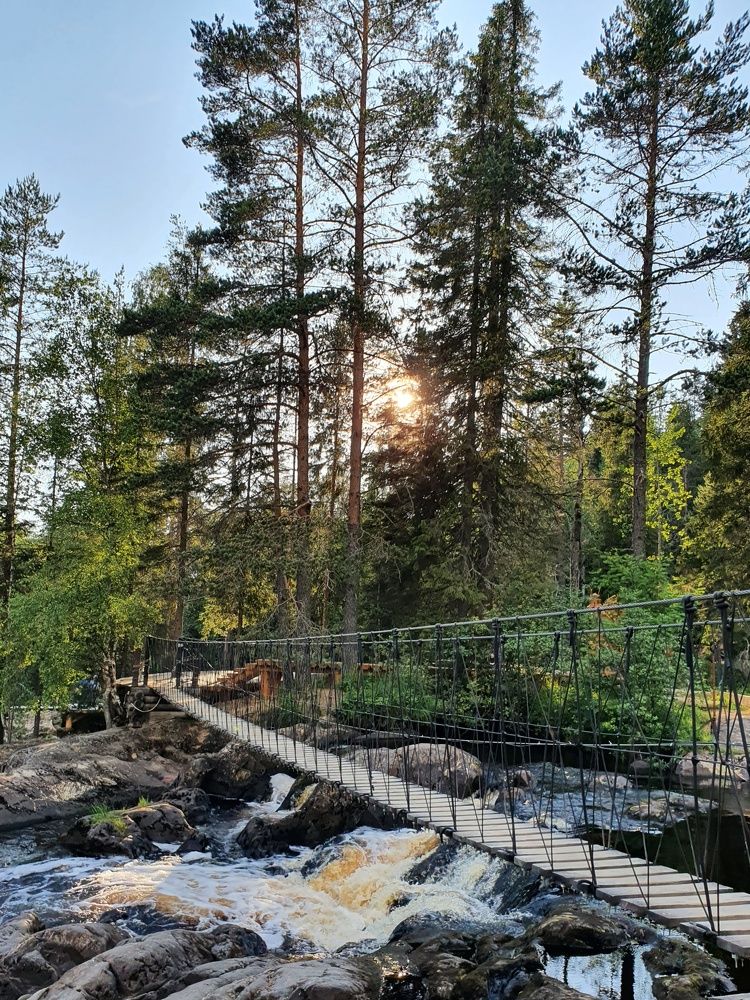 Photograph by Дьяченко Нина