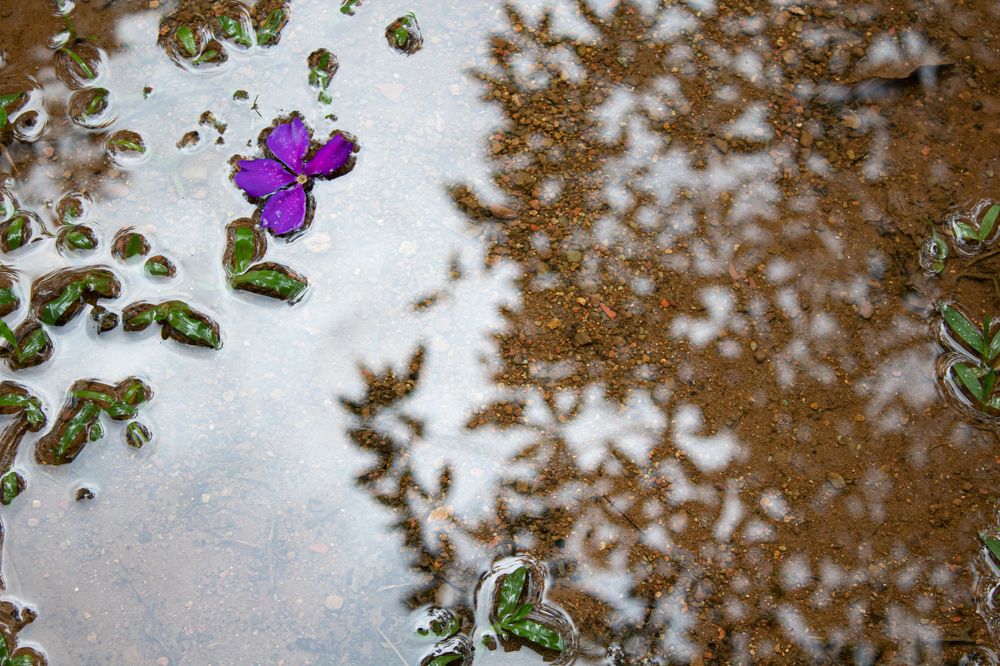 Photograph by ANA MARRA