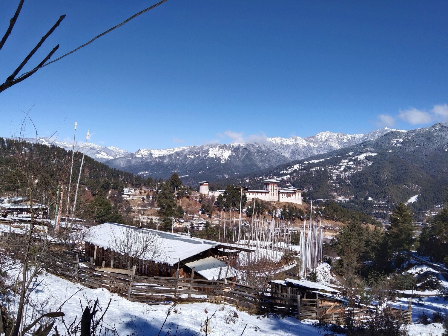 Photo #6937437