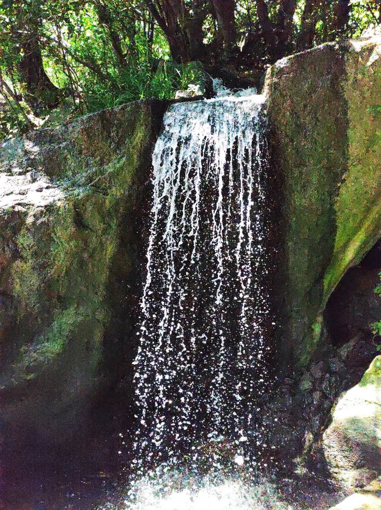 Фотография автора Таисия