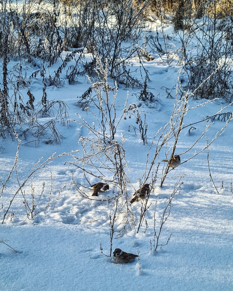 Photograph by Татьяна Соколовская