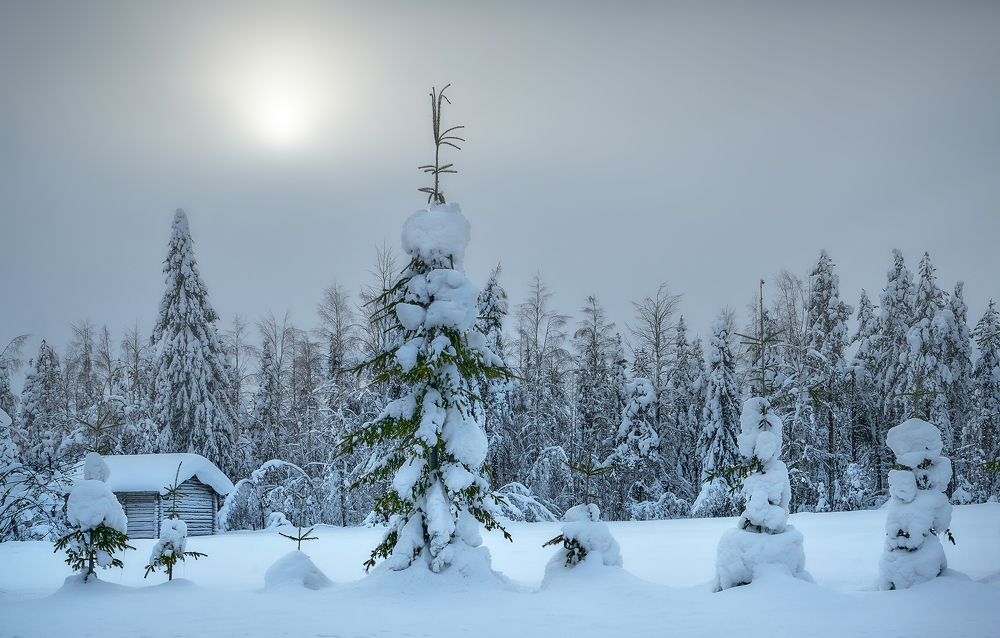 Photograph by Boris Bekelman