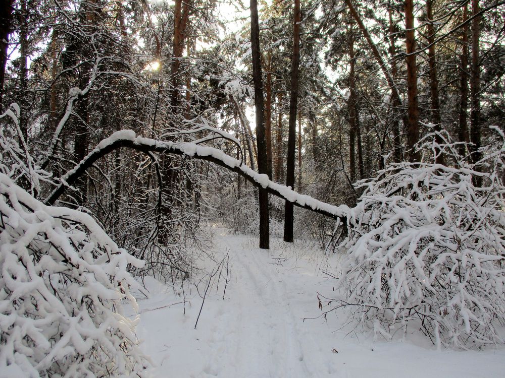 Photograph by Анастасия Старикова