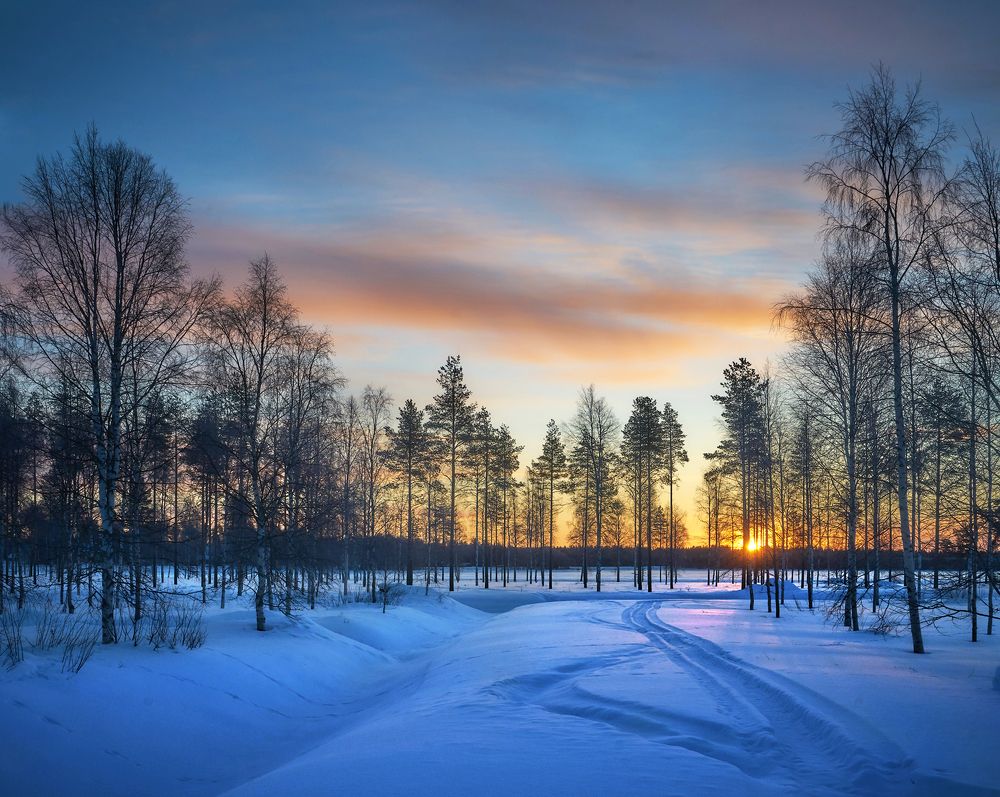 Photograph by 