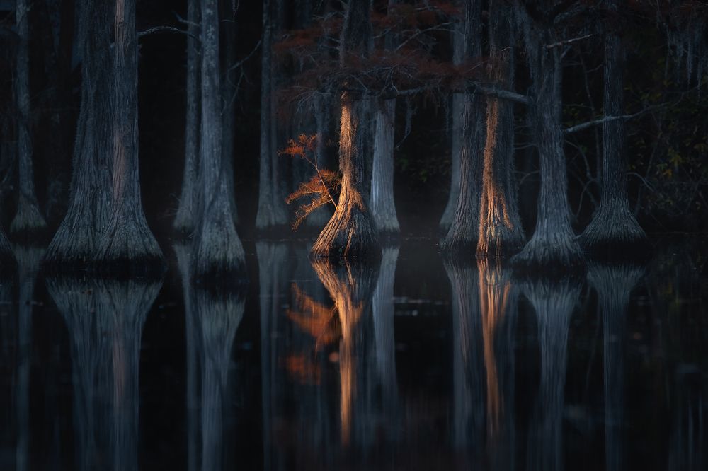 A new morning, a new life...