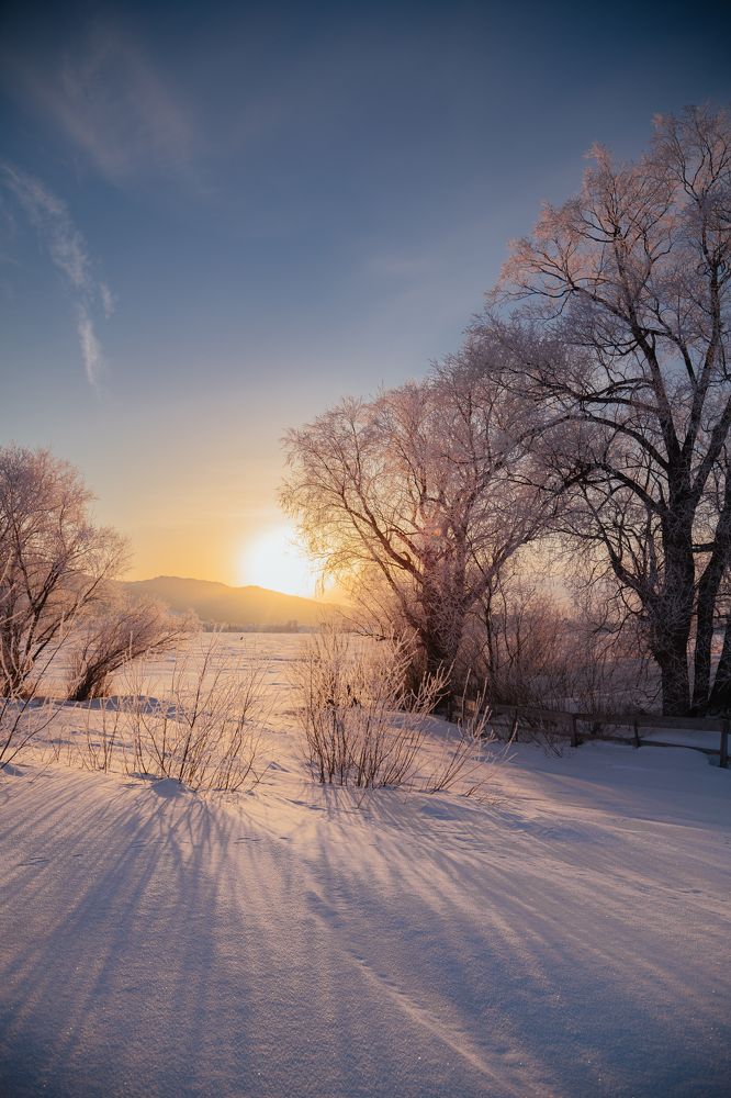 Photograph by Денис Кошкин