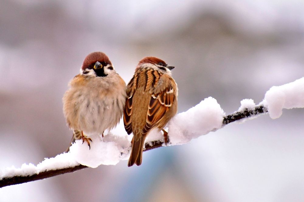 Photograph by Валерий Талейко
