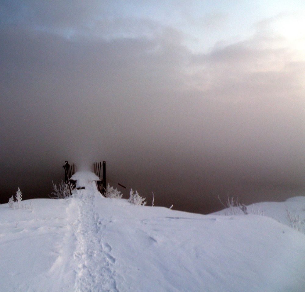 Photo #6937782