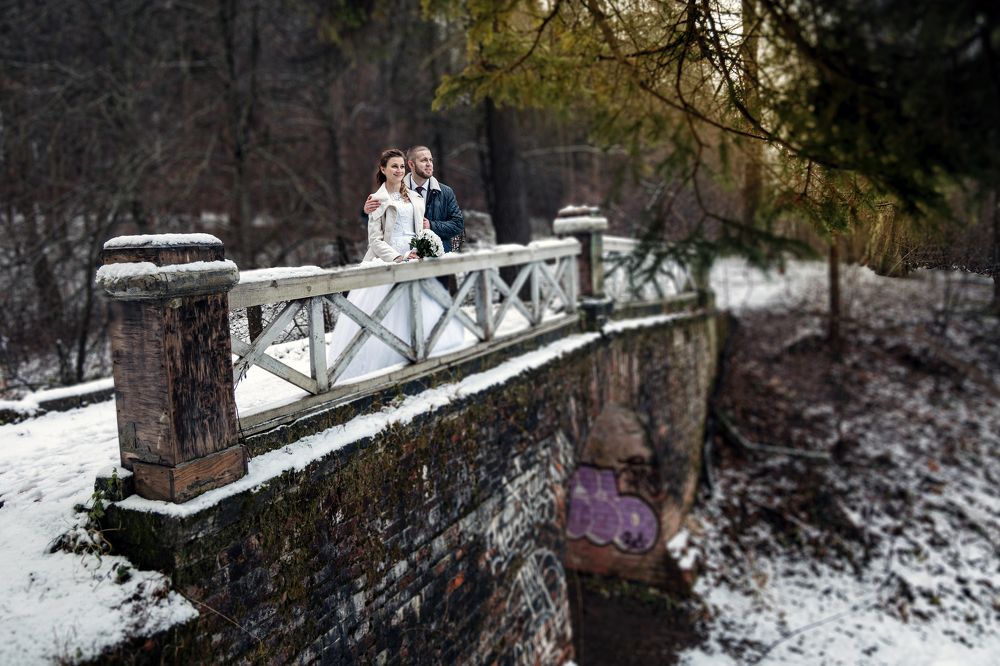 Photograph by Дмитрий Жданов