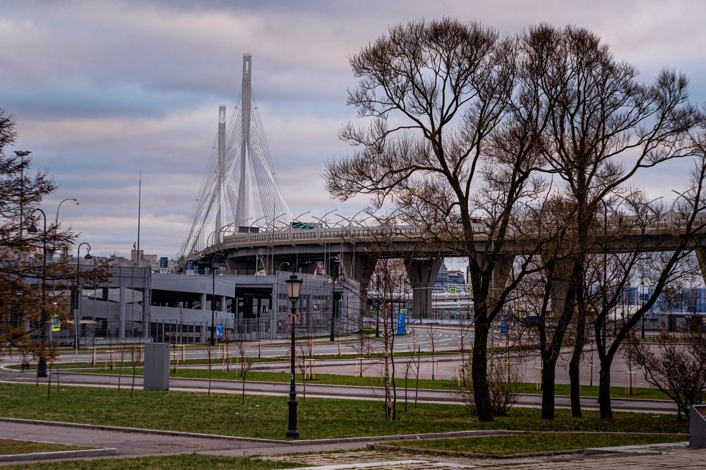 Фотография автора Виктория Шаманова