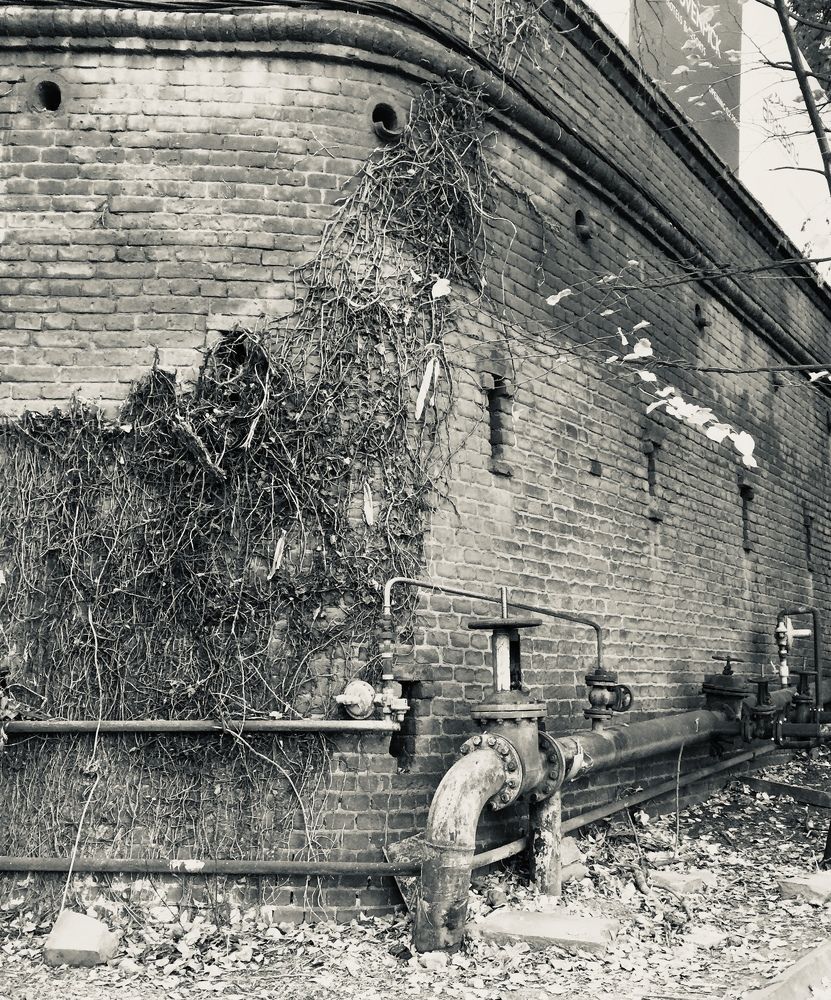 Photograph by Светлана