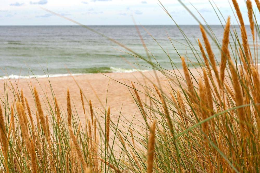 Photograph by Василий Ковалев