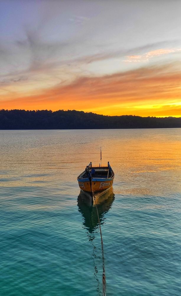 Photograph by VASHALE DEVI