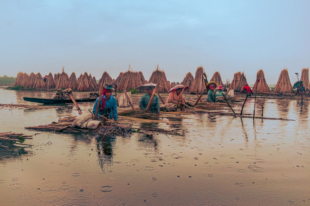 Photograph by Payel Banerjee