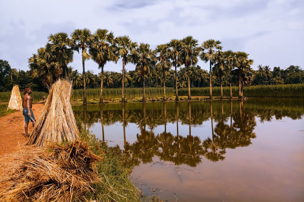 Photograph by Payel Banerjee