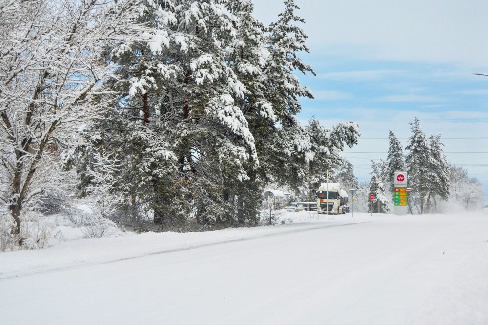 Photograph by Inna Logvinova