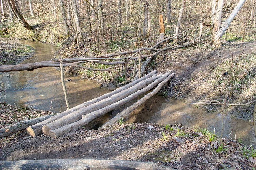 Photograph by Валерий Петухов