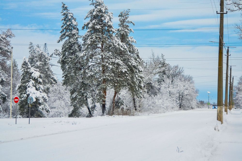 Photograph by Inna Logvinova