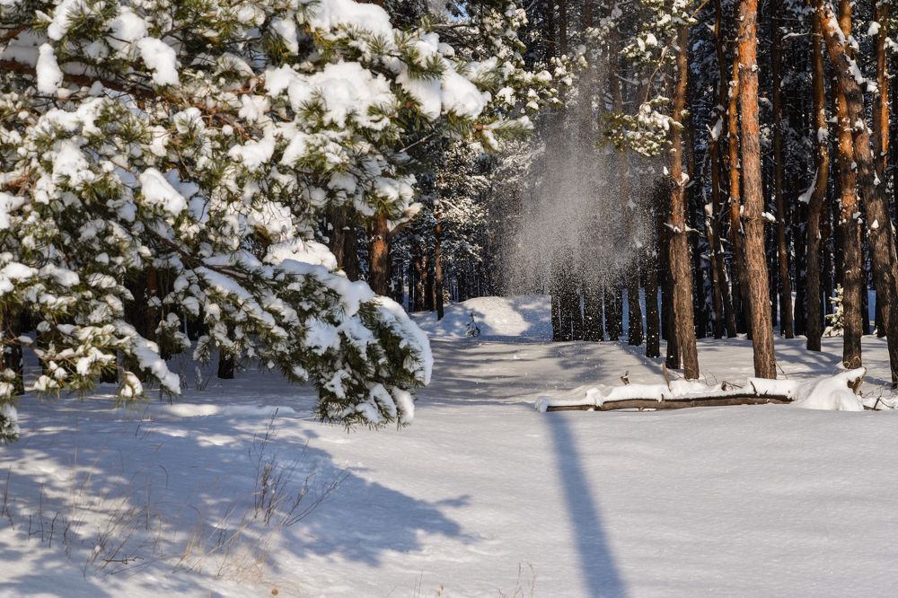 Photograph by Inna Logvinova