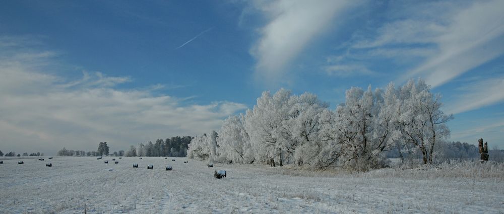 Photograph by виктор ястребов