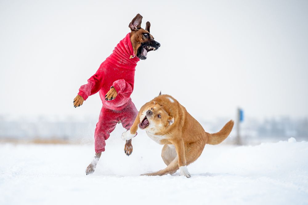 Photograph by Alexander Vlasov