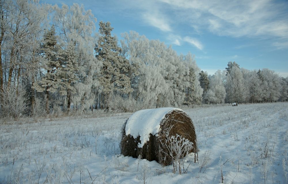 Photograph by виктор ястребов