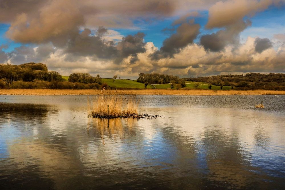 Photograph by Viviana García