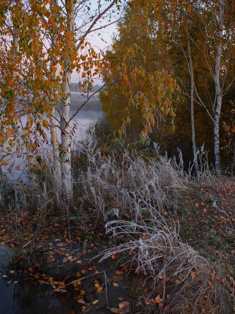 Photograph by Дмитрий Крылов