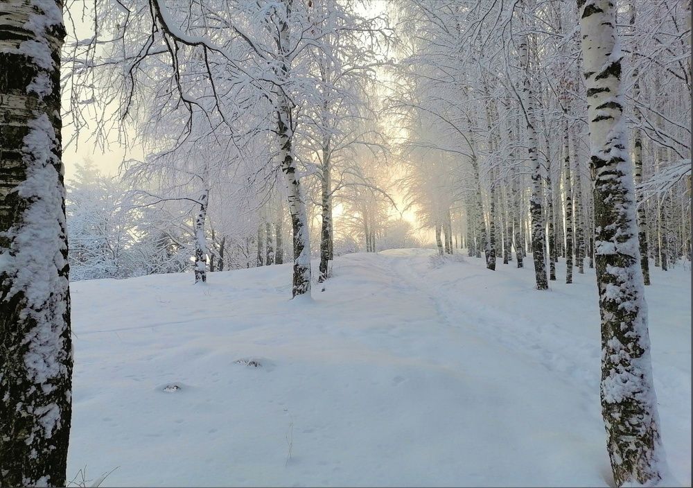 Photograph by Ольга