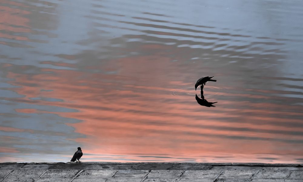 Фотография автора Elyas khaghani Elyasph