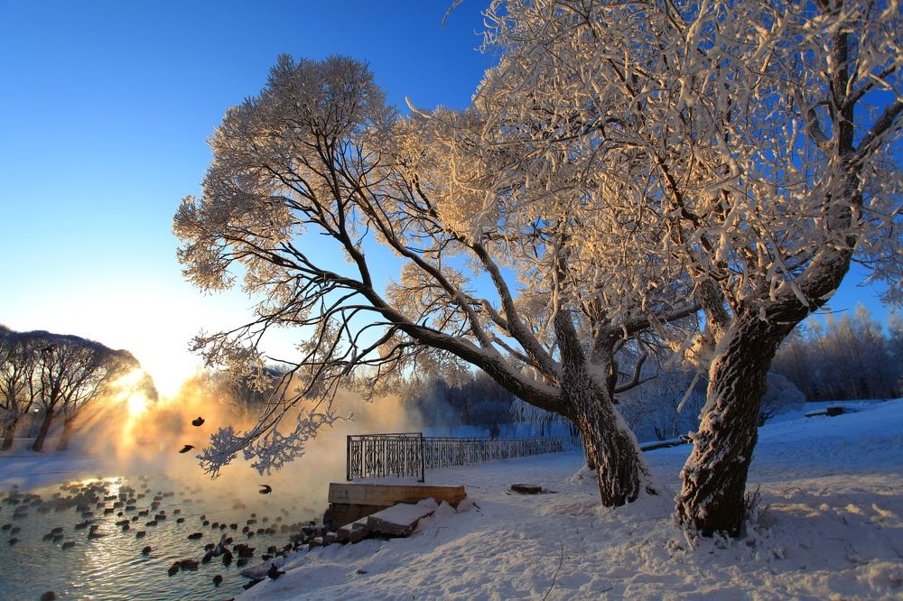 Photograph by 