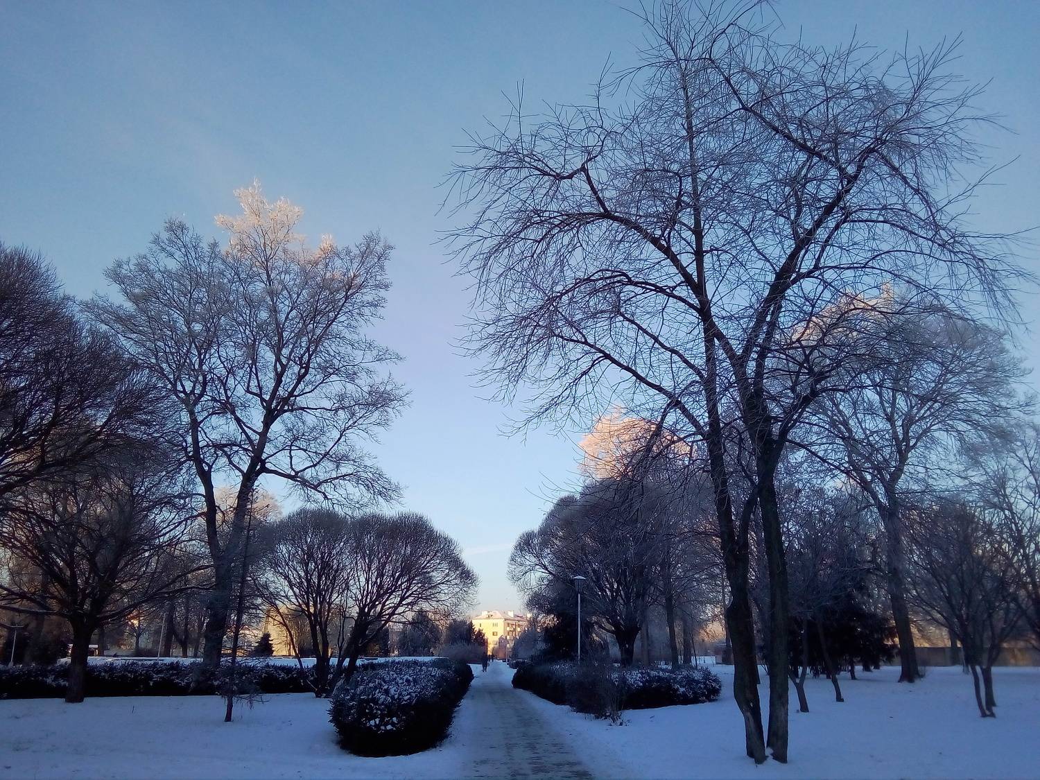 Photo #6938404