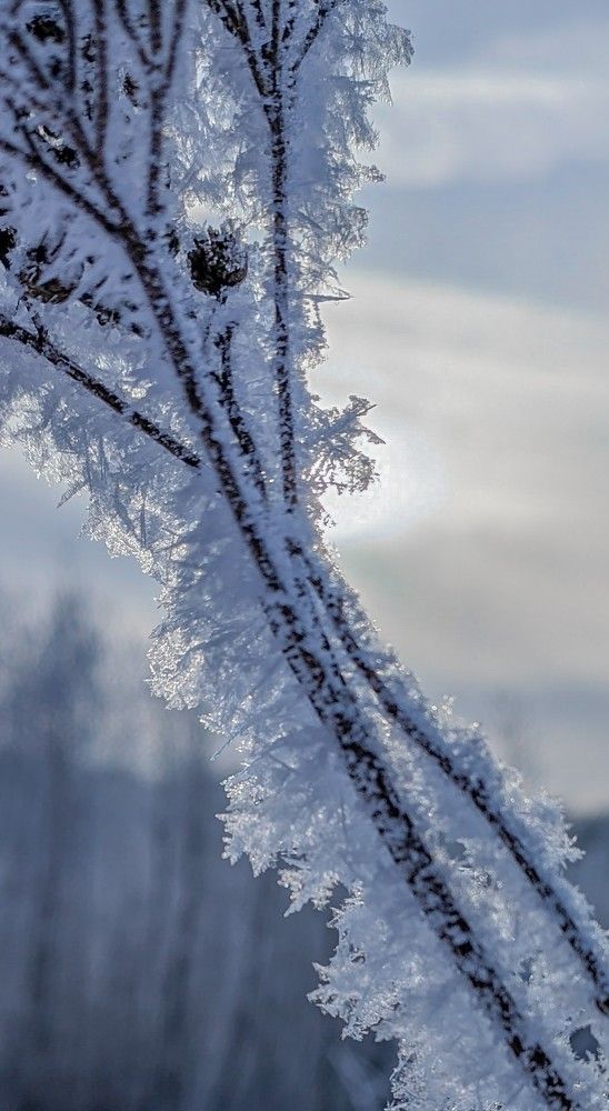 Photograph by Наталия