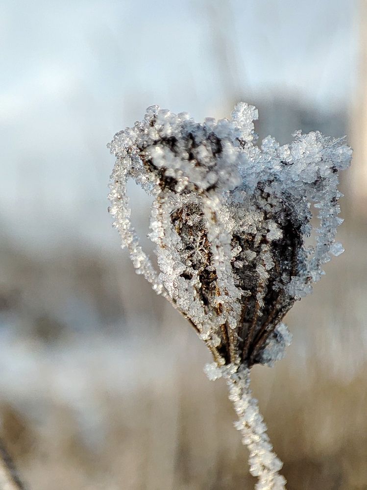 Photograph by Оксана