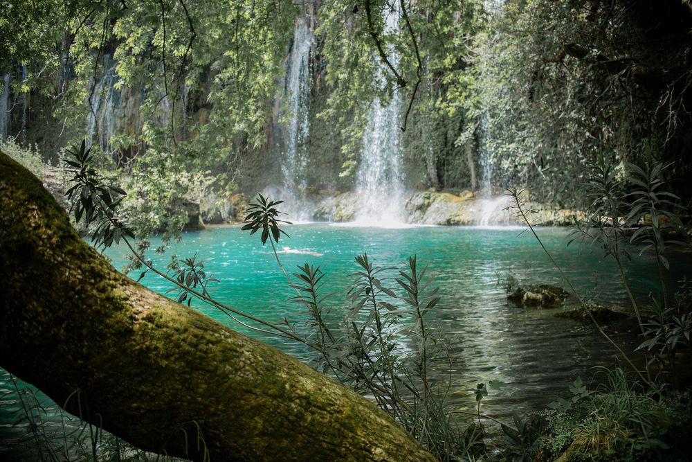 Photograph by Татьяна Мазепова