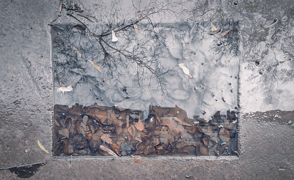 Photograph by kirill ostapchuk