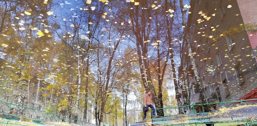 Осенняя прогулка