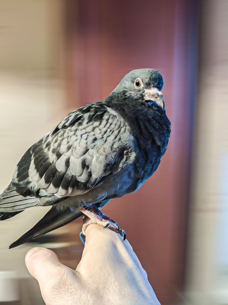 Photograph by Дмитрий Малышев