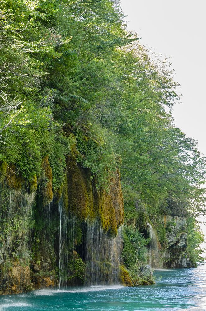 Photograph by Александр Щербаков