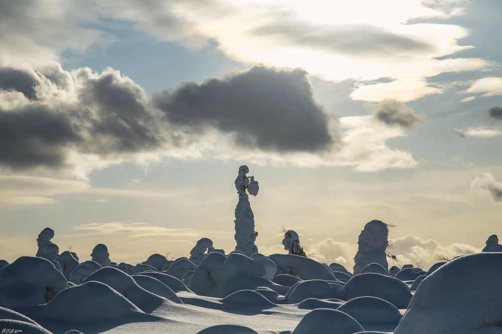 Photograph by владимир