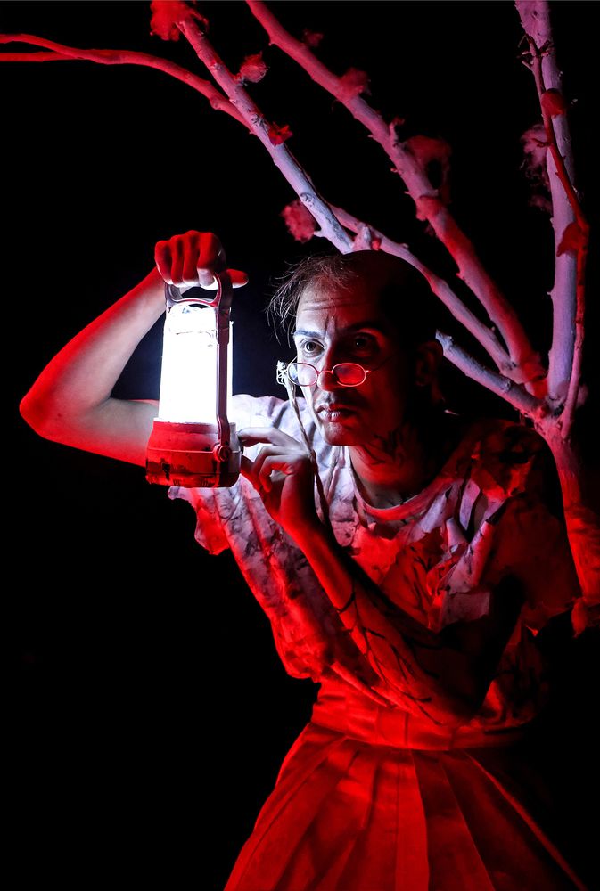 Фотография автора SeyedeElaheGHasemi