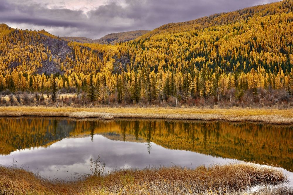 Photograph by Андрей Кузнецов