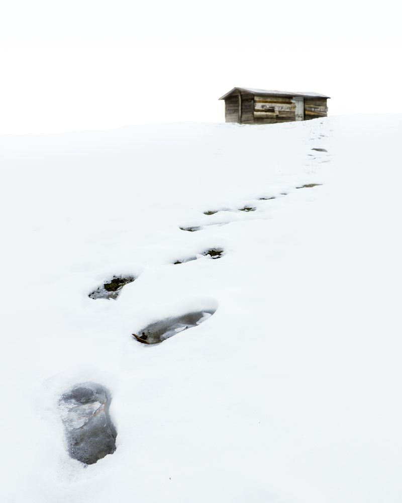 Photograph by Parsa Kamali