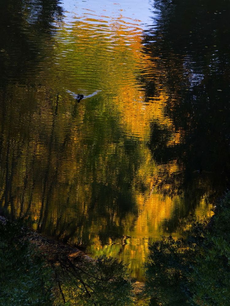 Photograph by Александр Максимов