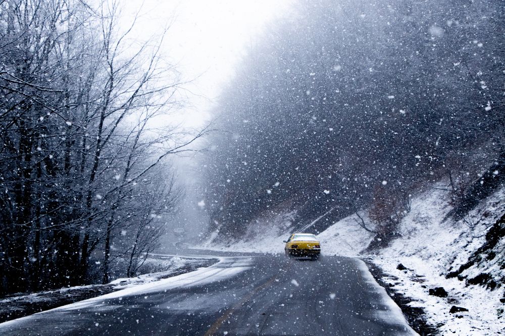 Photograph by Parsa Kamali